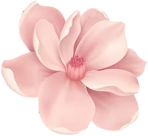 yalda-img-flower